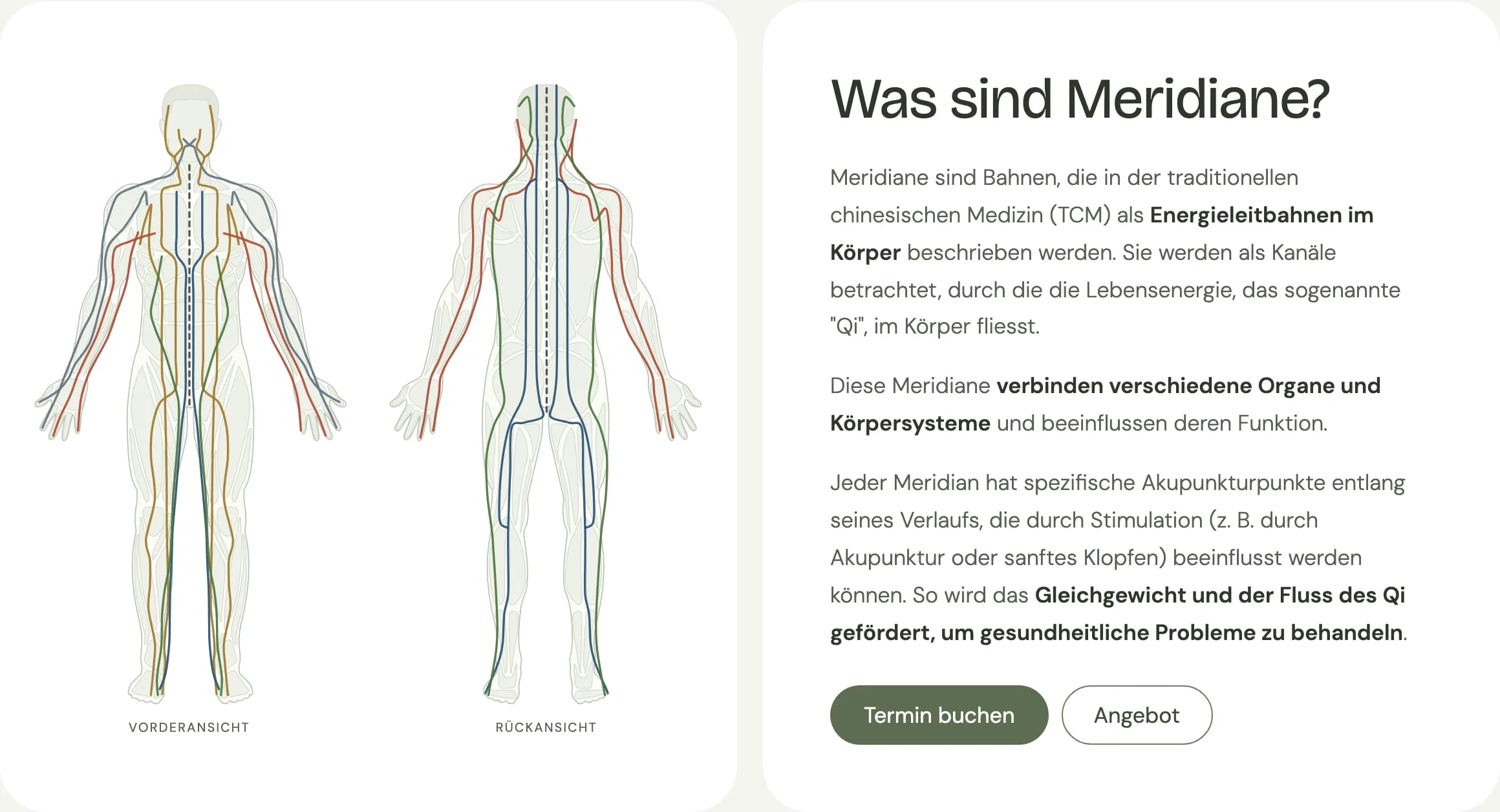 Meridians page on desktop: front and back figure with the twelve meridians beside the text